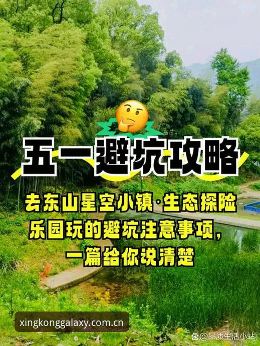 星空中国登录通道攻略 避坑指南:星空中国登录通道攻略,一个老用户踩过的五个坑